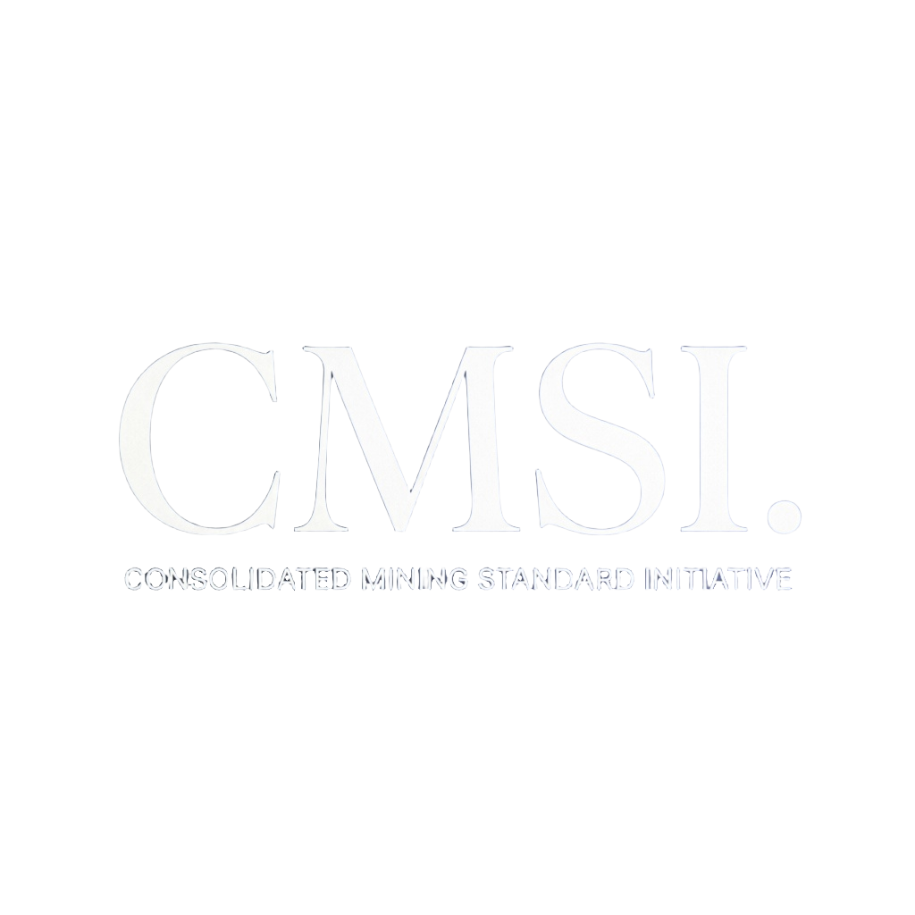 Logo CMSI